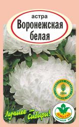 астра ВОРОНЕЖСКАЯ БЕЛАЯ / АГРО САД / НОВИНКА !!!